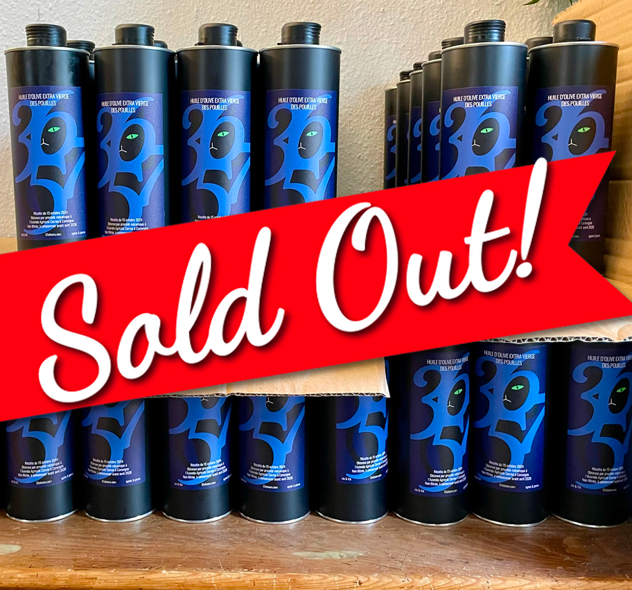 sold out 2024